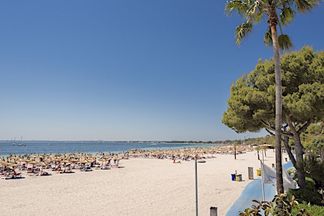 Beach Garden